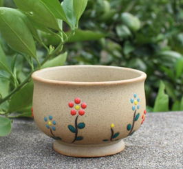 兰花花盆材质全解析与日常保养技巧